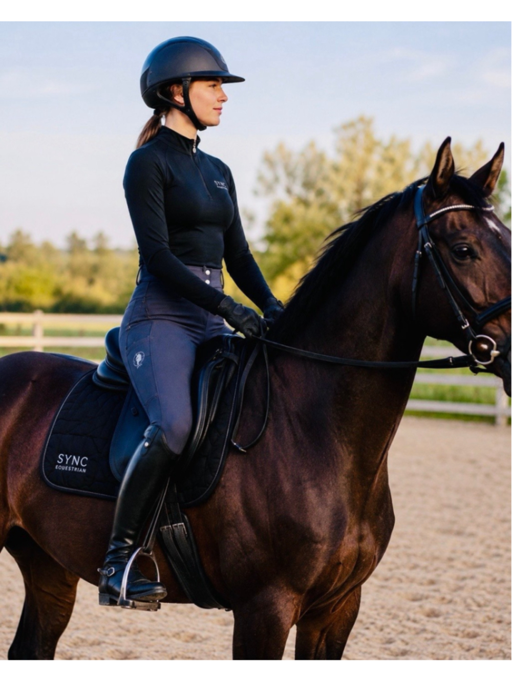 NTW SYNC EQUISTRIAN Riding breeches